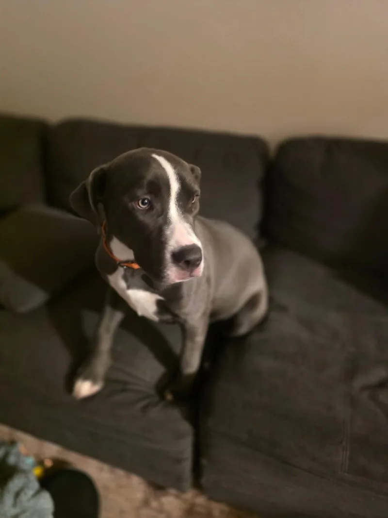 Daisy Mae thumbnail 3