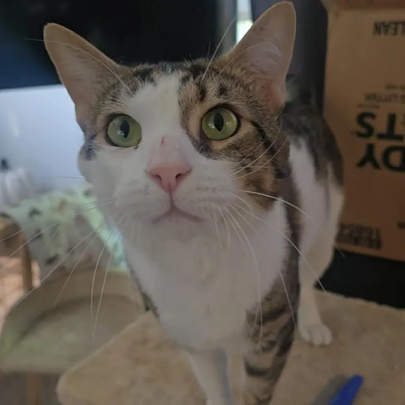 George thumbnail 3