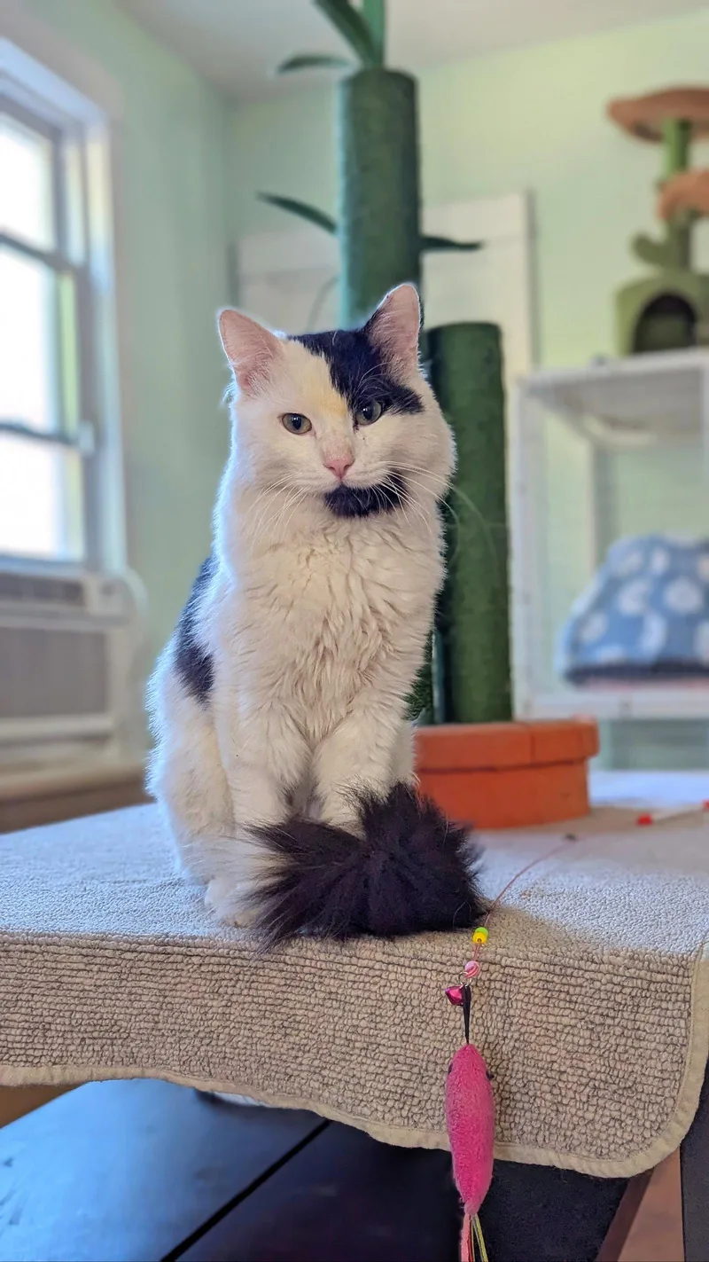 Casper thumbnail 2