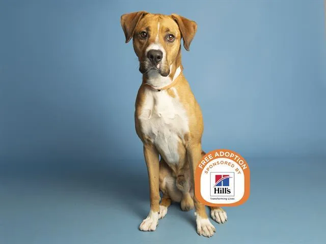 Duke