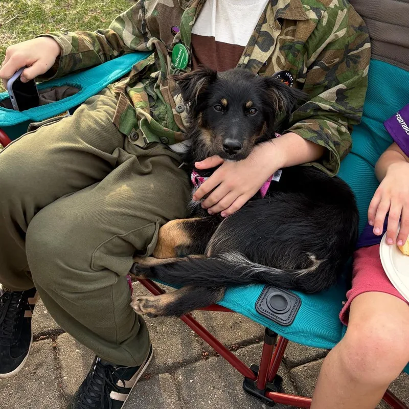 Madeline D thumbnail 2