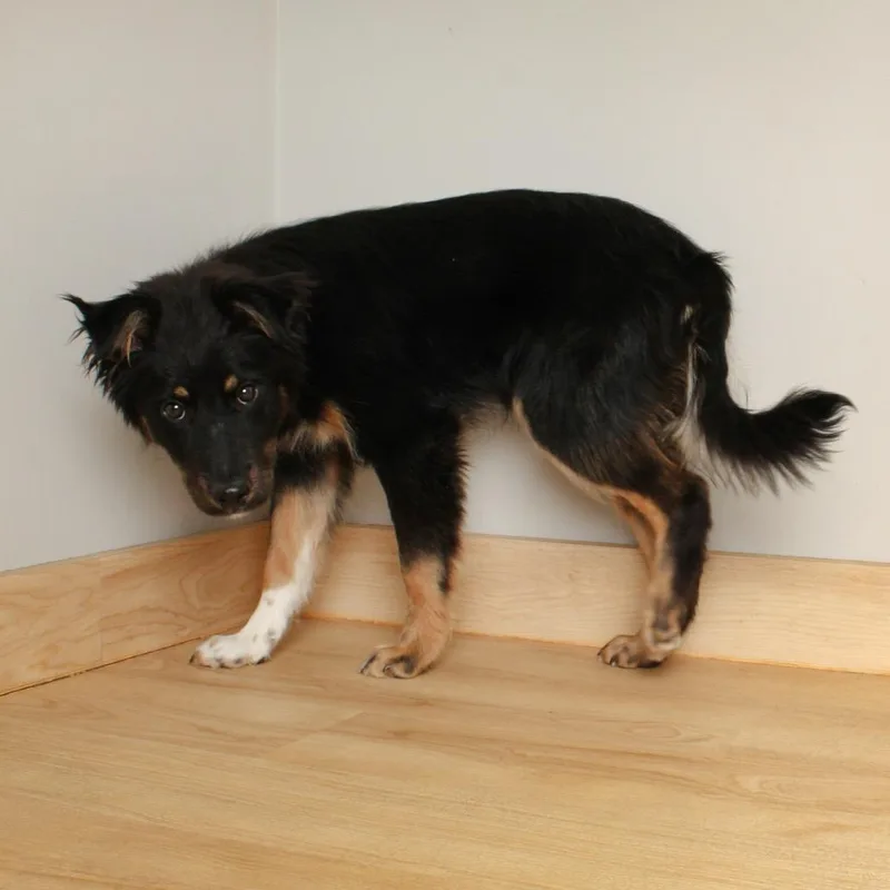 Madeline D thumbnail 3