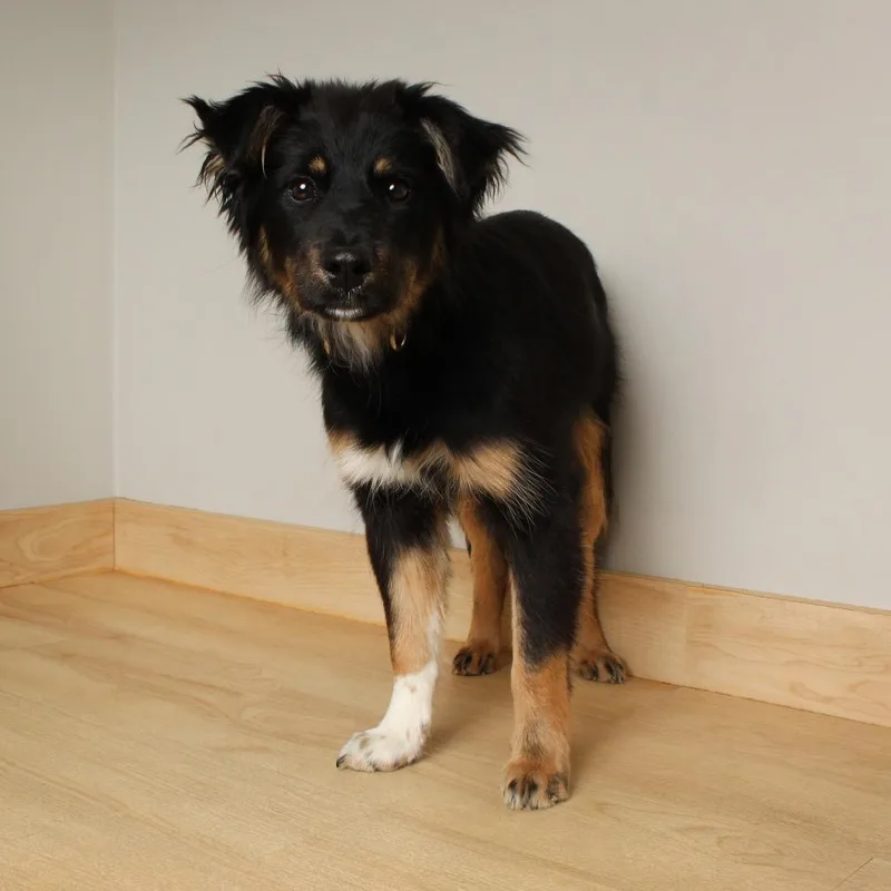 Madeline D thumbnail 4