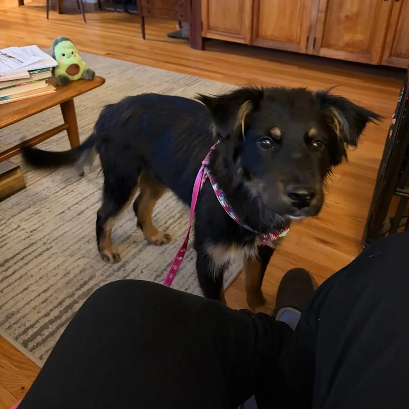 Madeline D thumbnail 5