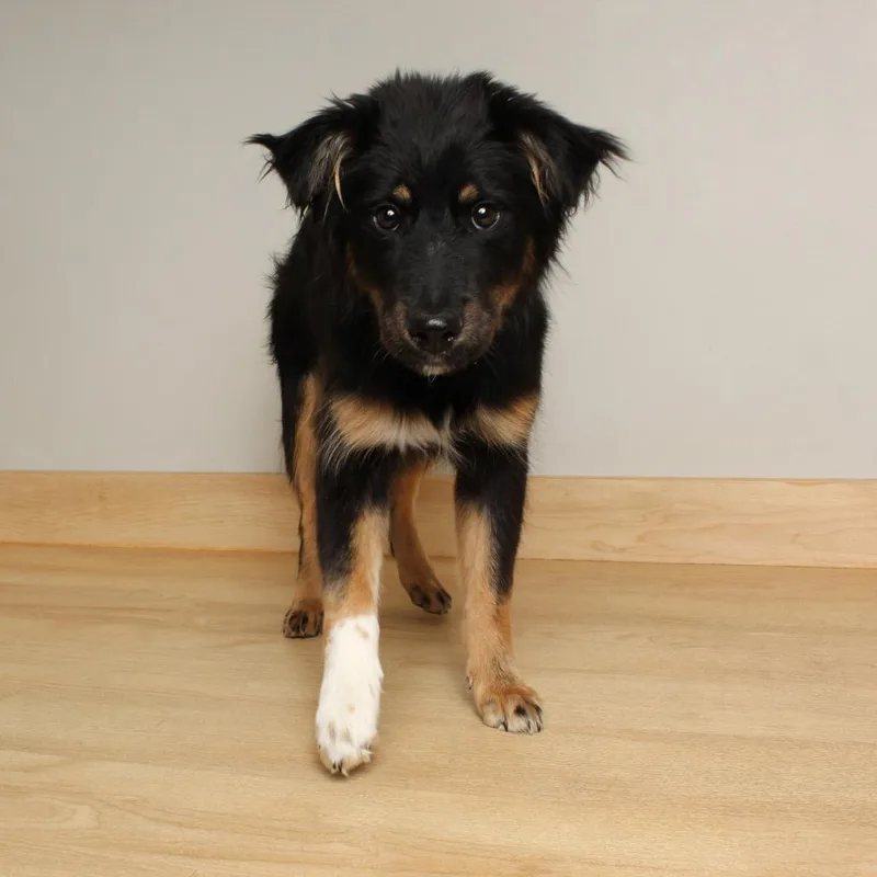 Madeline D thumbnail 6