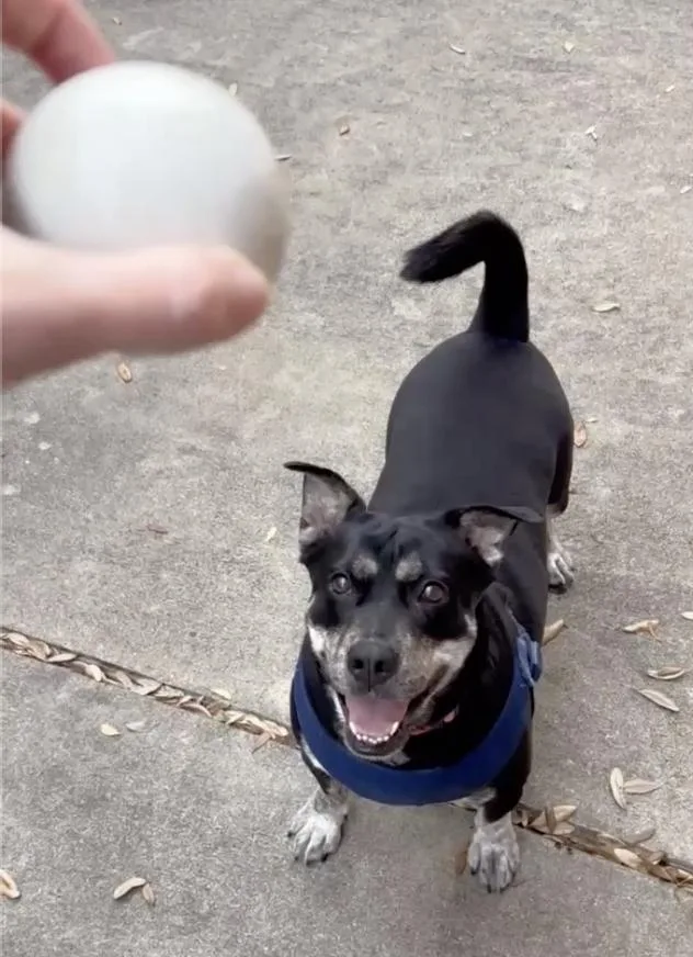 Glow : The Perfect thumbnail 2