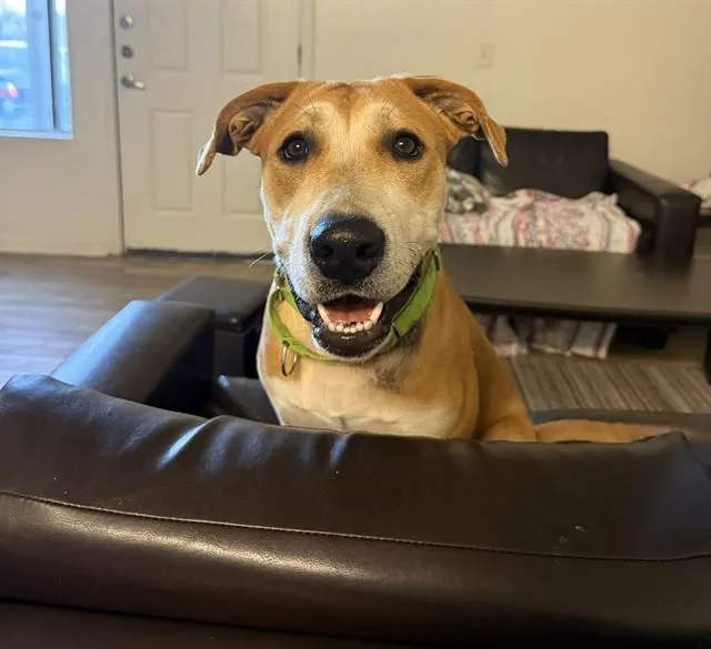 Max