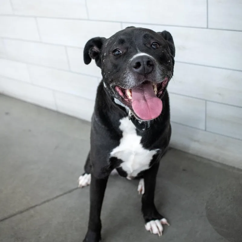 Russell Theodore Iii