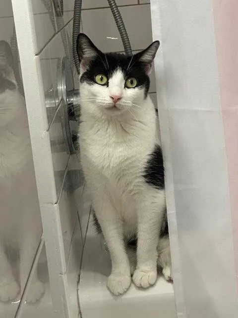 Reed And Oboe thumbnail 3