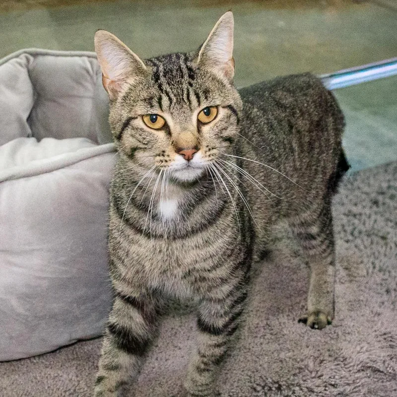 Leonardo thumbnail 3