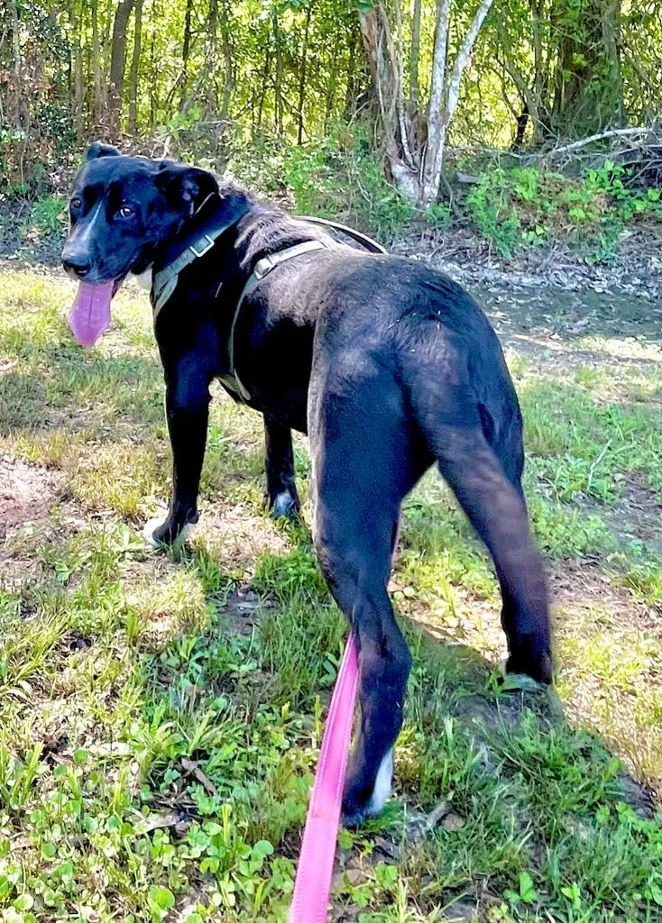 Mary Jane thumbnail 4