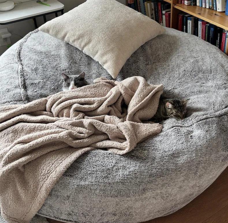 Sorscha & Mildred thumbnail 2