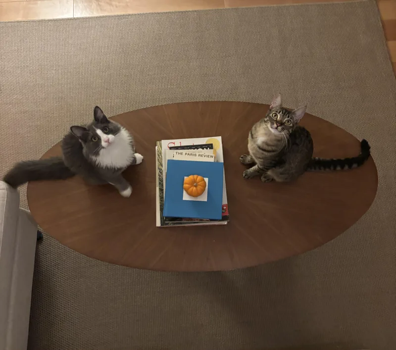 Sorscha & Mildred thumbnail 3