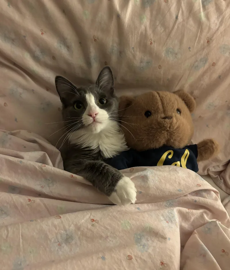 Sorscha & Mildred thumbnail 4