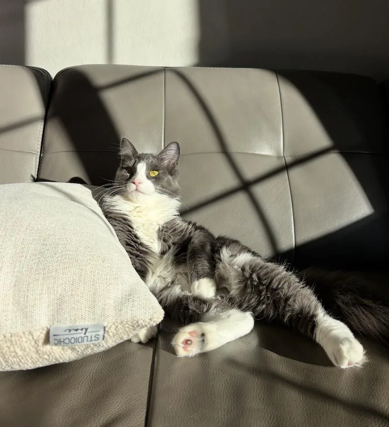 Sorscha & Mildred thumbnail 5