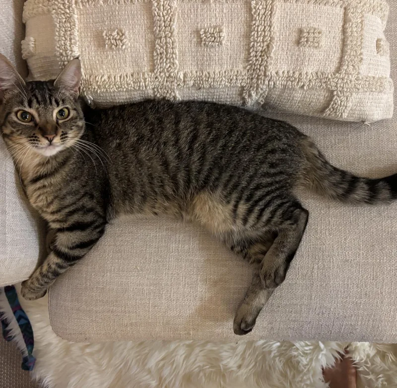 Sorscha & Mildred thumbnail 6