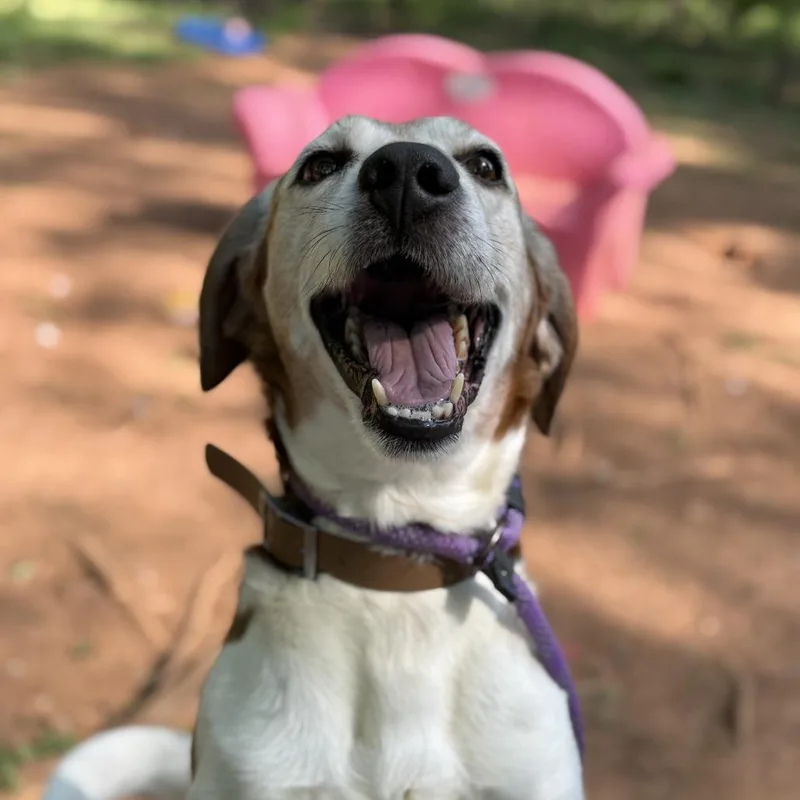 Highway thumbnail 5
