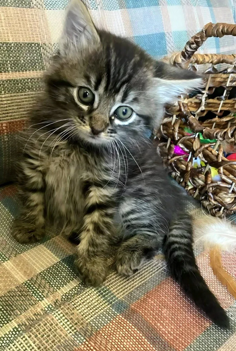 Ellie