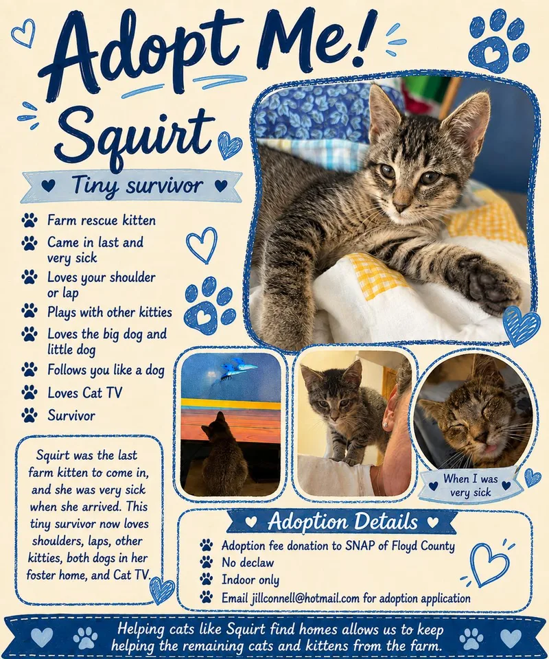 Squirt thumbnail 5