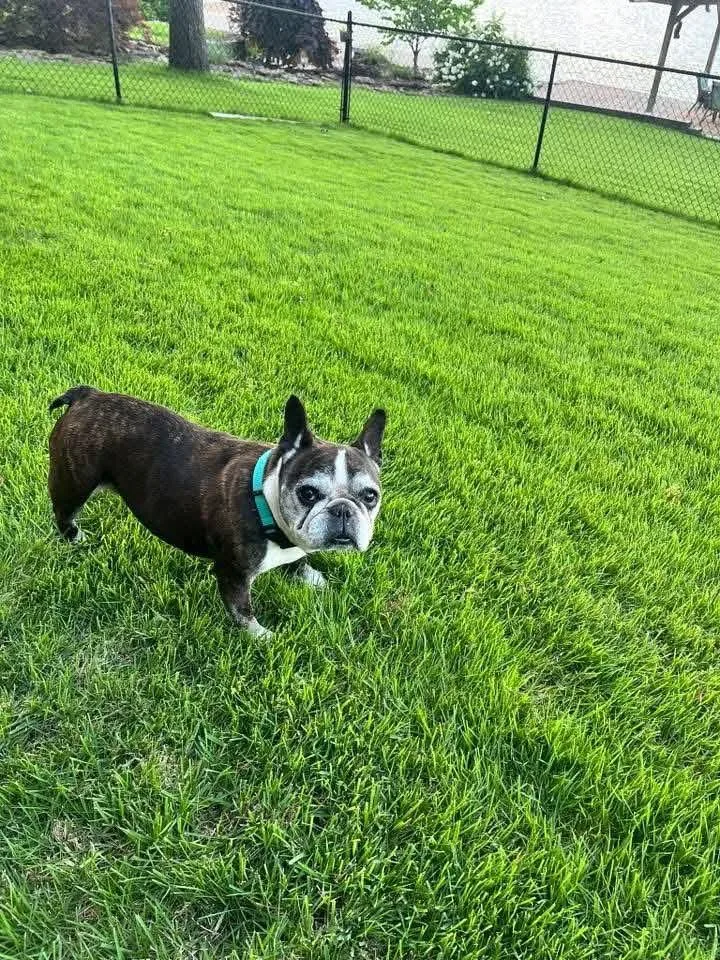 Kizzy