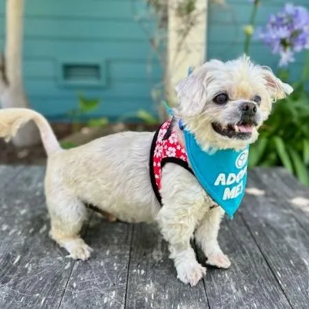 Hot Sauce thumbnail 3