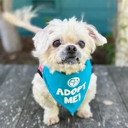 Hot Sauce thumbnail 4