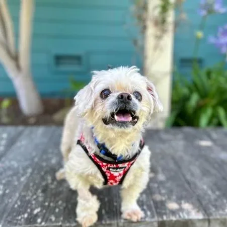 Hot Sauce thumbnail 5