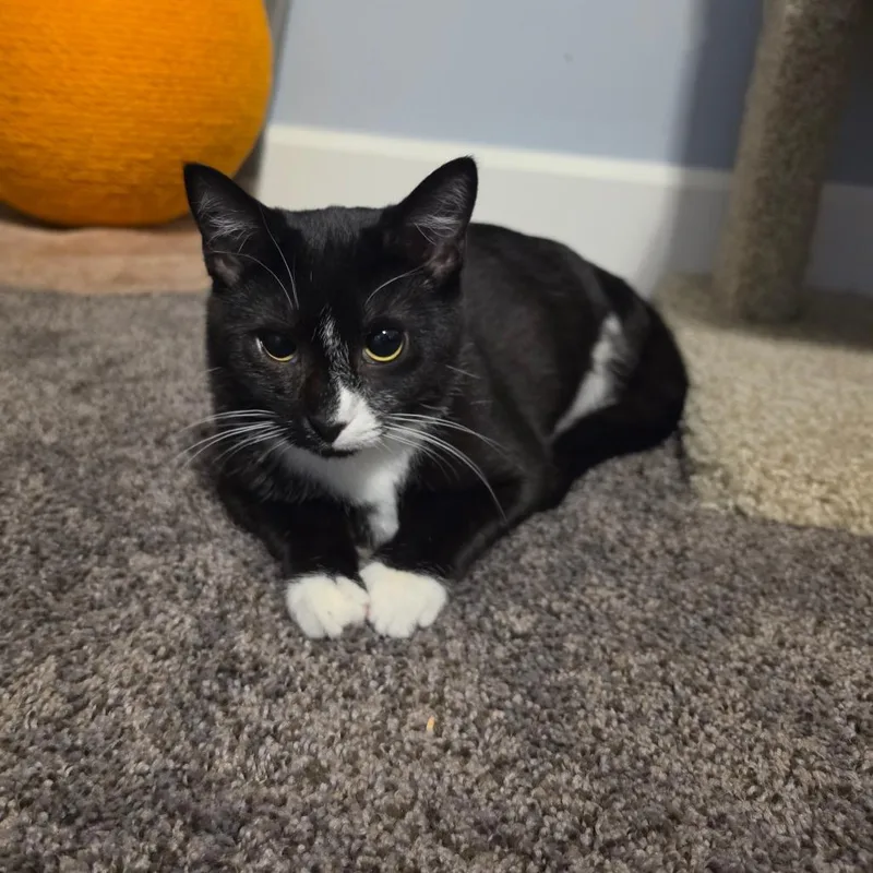 Charlie thumbnail 3