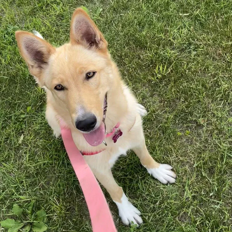 Belinda thumbnail 3