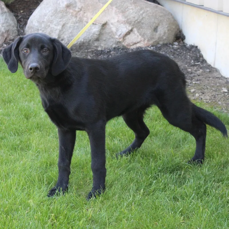 Lilly thumbnail 6