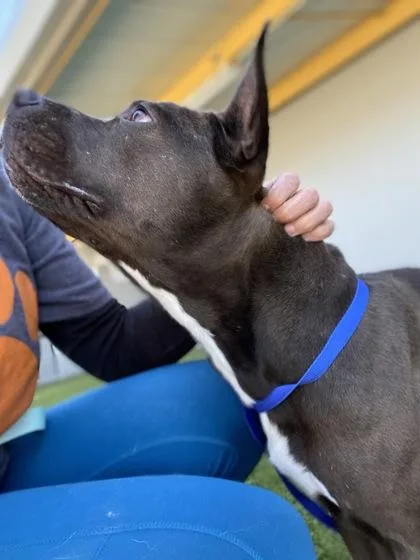 Danyelle thumbnail 2