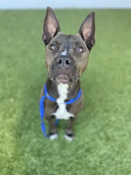 Danyelle thumbnail 4