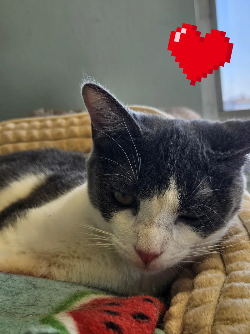 Mona Lisa thumbnail 3