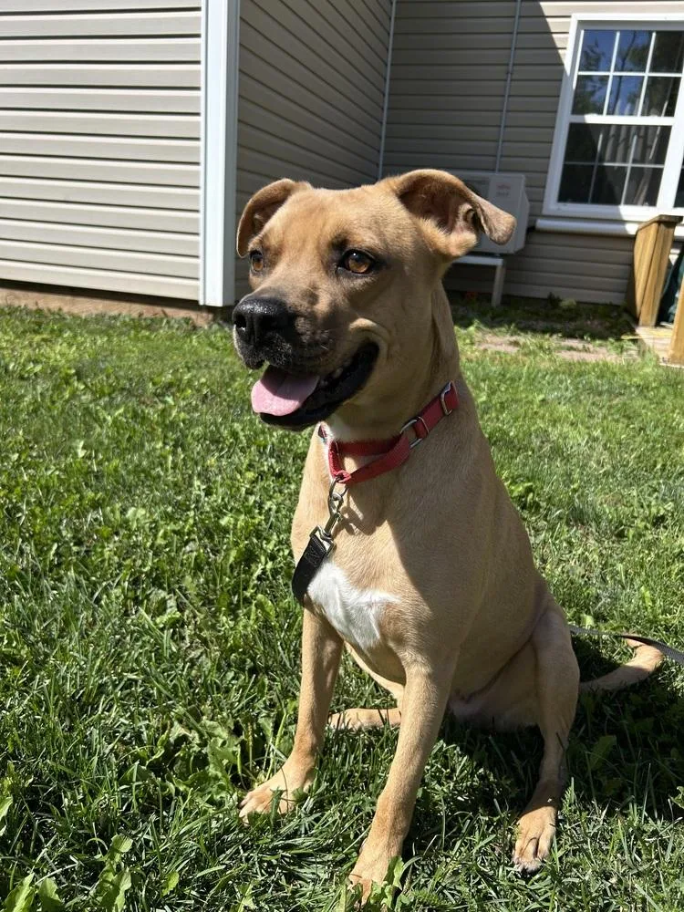 Gracey A 💜🤍 🇨🇦 thumbnail 2