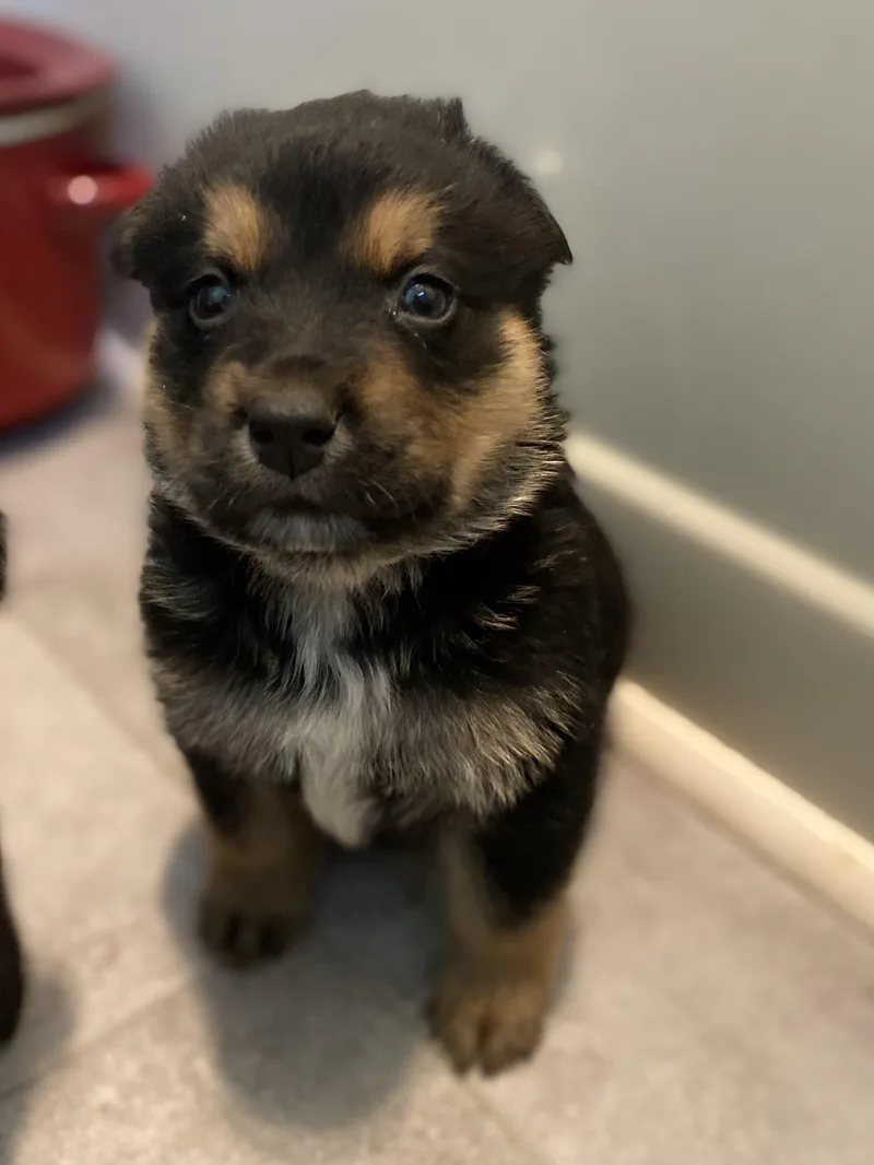 Hunter Hess thumbnail 2