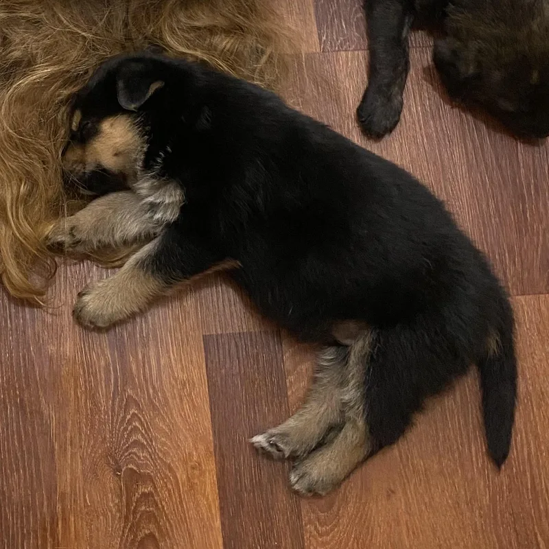 Hunter Hess thumbnail 3