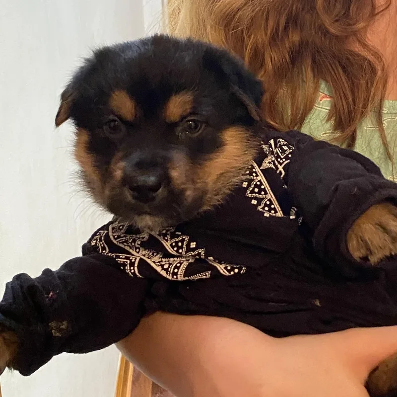 Hunter Hess thumbnail 5