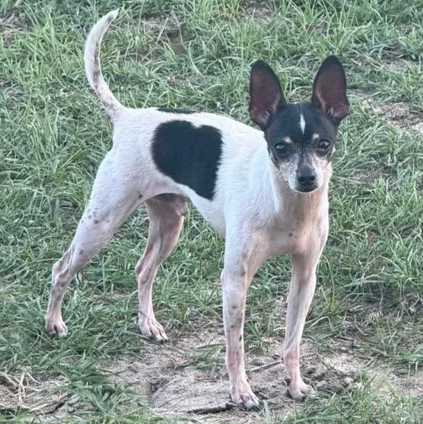 Johnny Cash aka Tiny