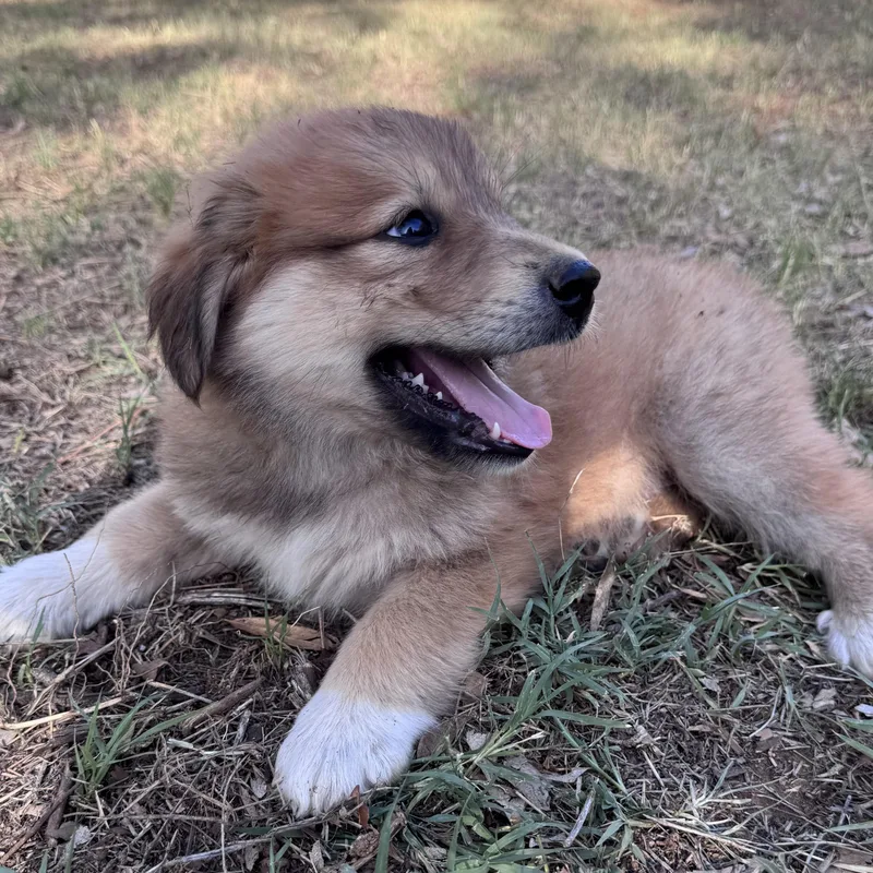 Bubba Sunshine thumbnail 2