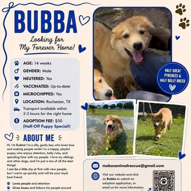 Bubba Sunshine thumbnail 5