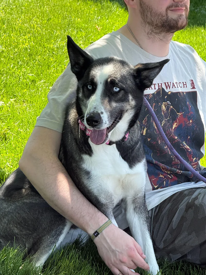 Roxy thumbnail 6