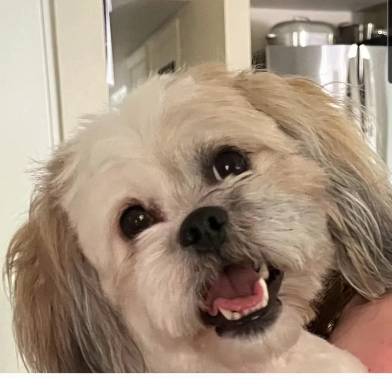 Gretta At Jefferson Feed thumbnail 3