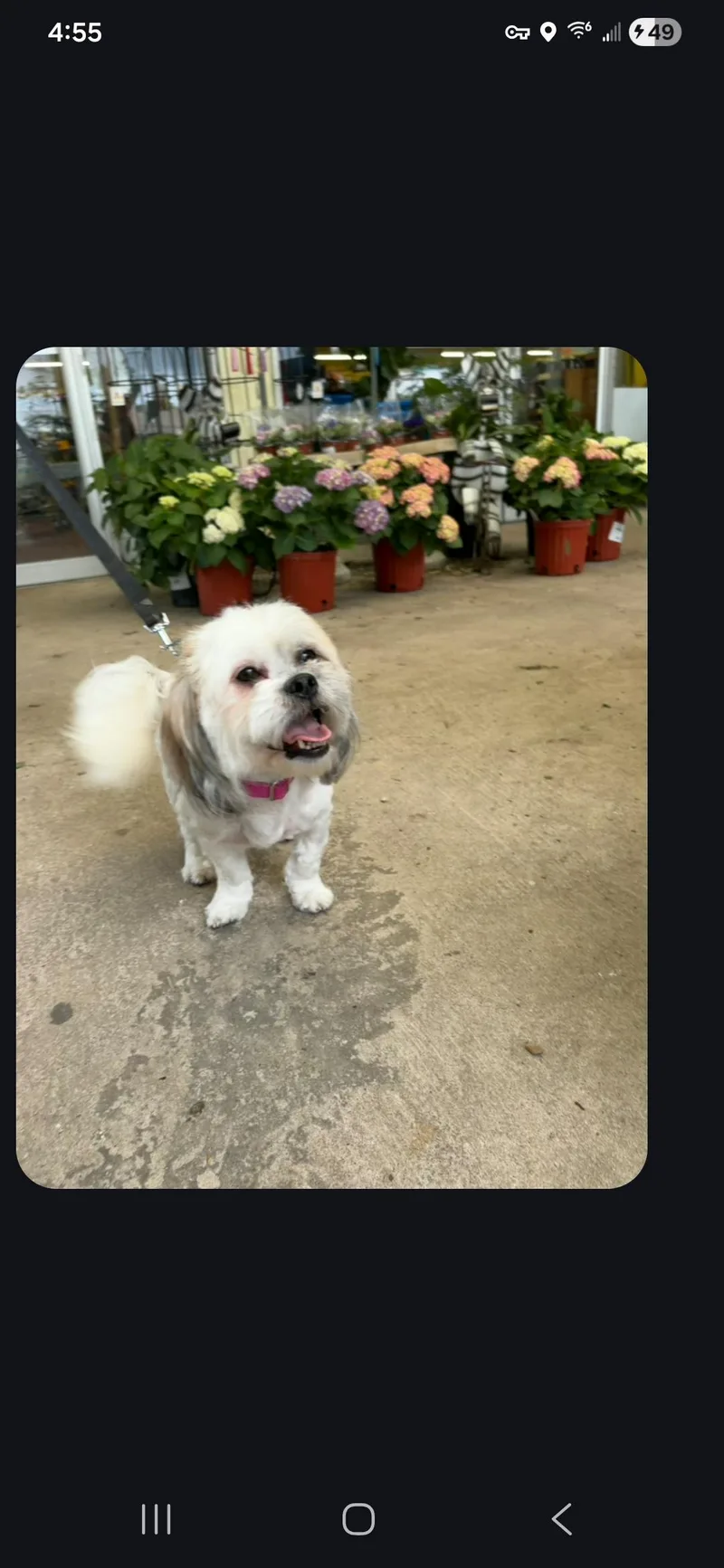 Gretta At Jefferson Feed thumbnail 4