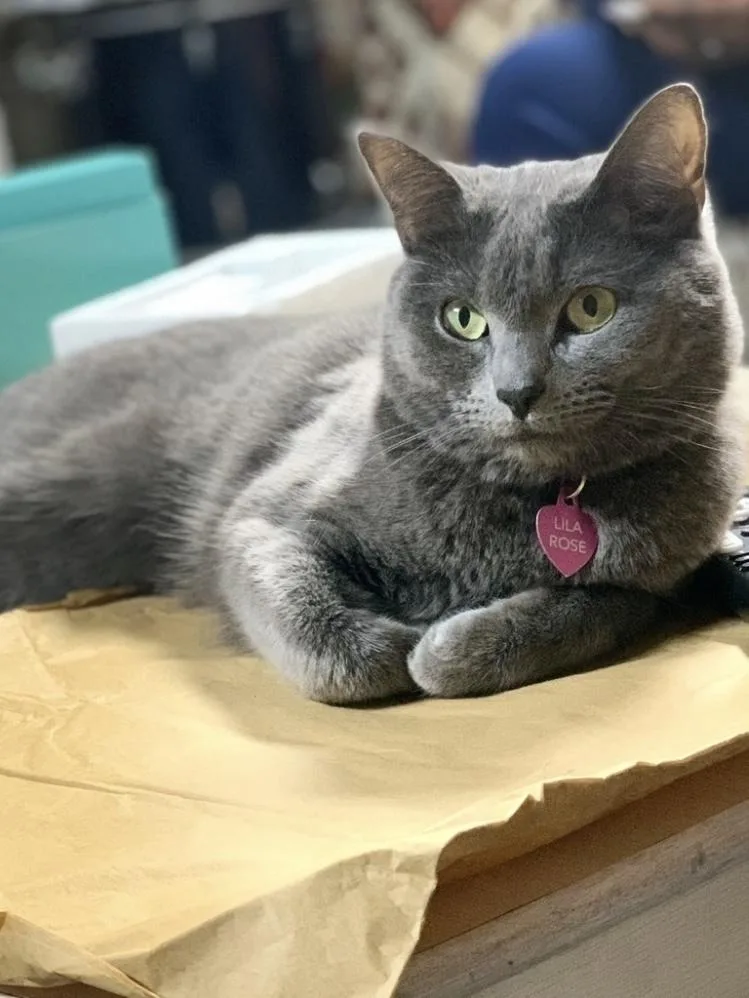 Lilarose thumbnail 2