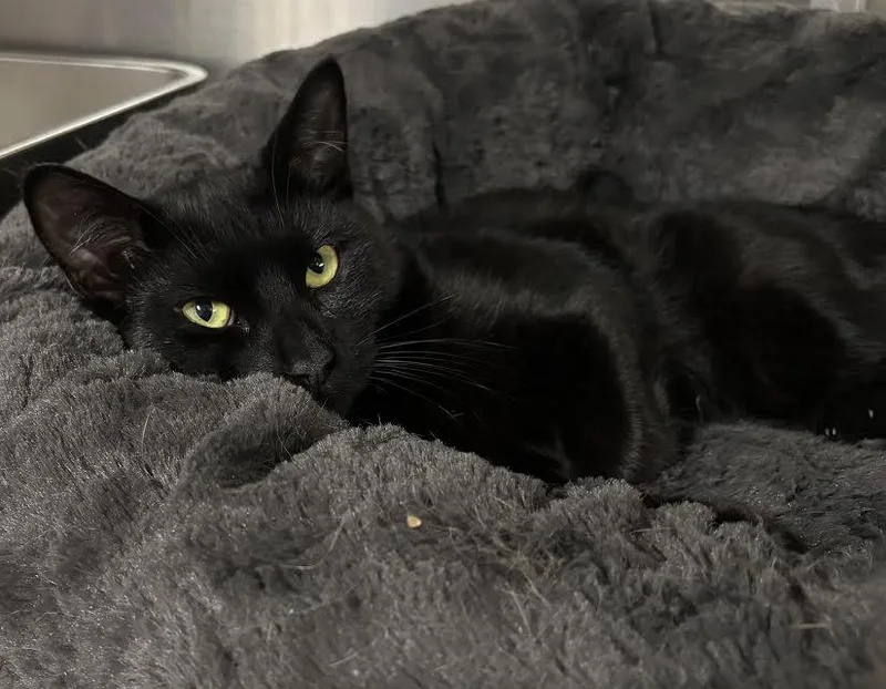 Dominic And Danny thumbnail 2