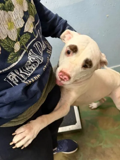 Maybelline thumbnail 2