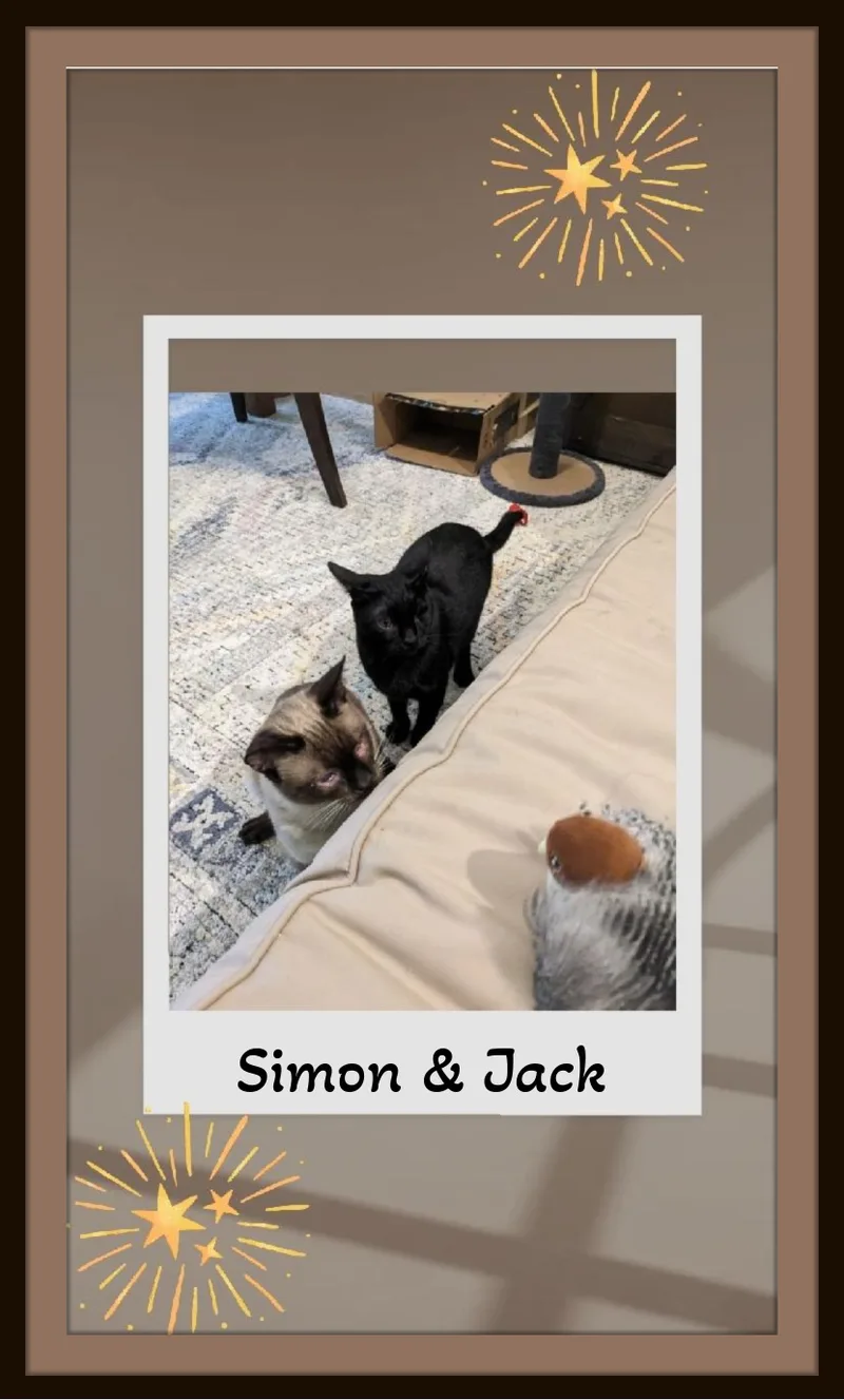 Jack And Simon