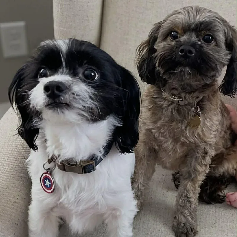 Bucky And Honey Rae