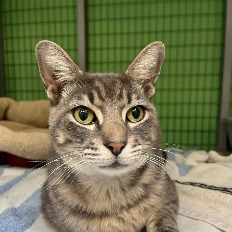 Stevie Wonpurr thumbnail 2