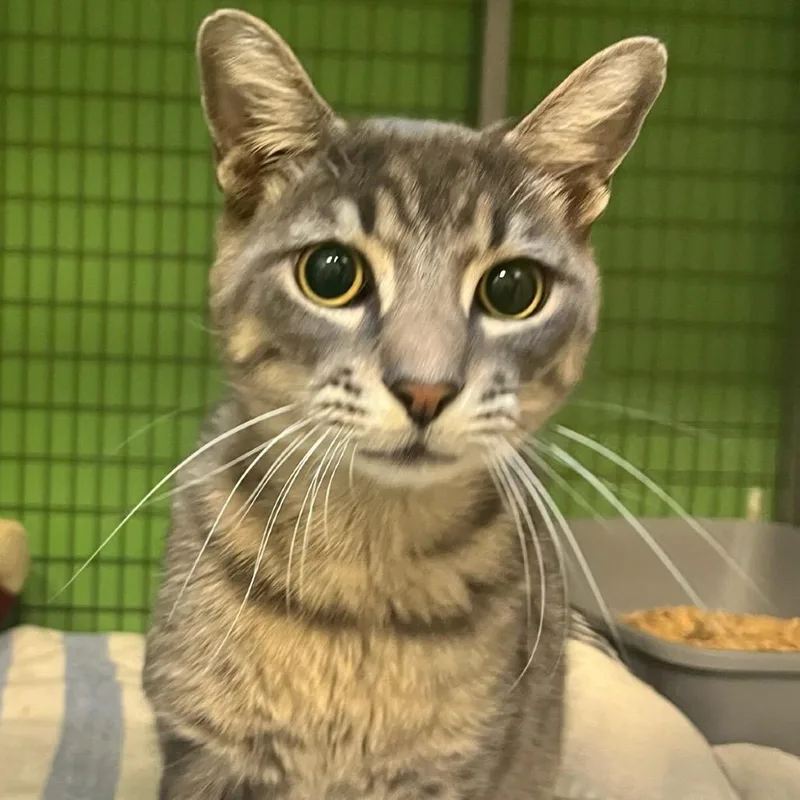 Stevie Wonpurr thumbnail 5